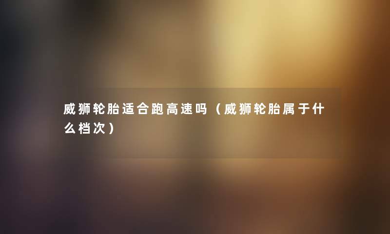 威狮轮胎适合跑高速吗（威狮轮胎属于什么档次）