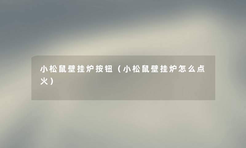 小松鼠壁挂炉按钮（小松鼠壁挂炉怎么点火）