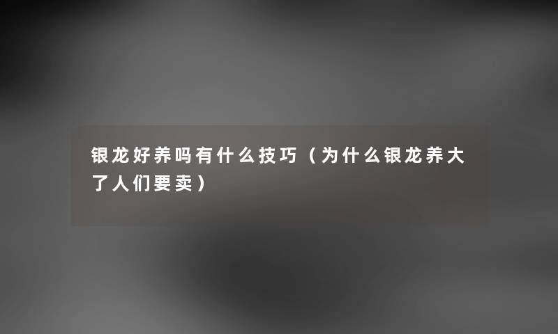 银龙好养吗有什么技巧（为什么银龙养大了人们要卖）
