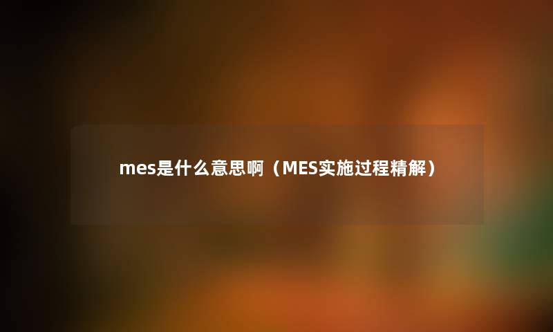 mes是什么意思啊（MES实施过程精解）
