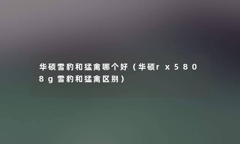 华硕雪豹和猛禽哪个好（华硕rx5808g雪豹和猛禽区别）