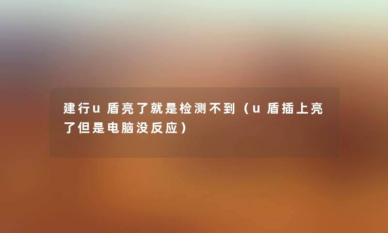 建行u盾亮了就是检测不到（u盾插上亮了但是电脑没反应）