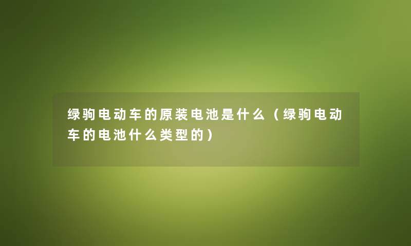 绿驹电动车的原装电池是什么（绿驹电动车的电池什么类型的）