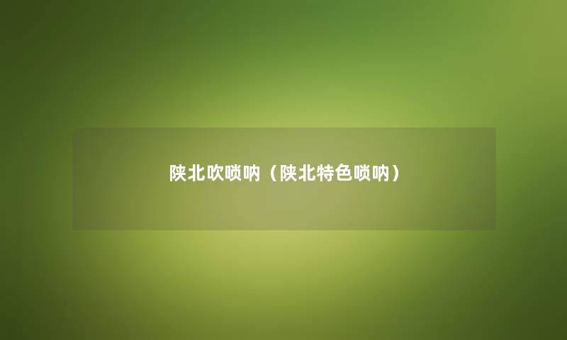 陕北吹唢呐（陕北特色唢呐）