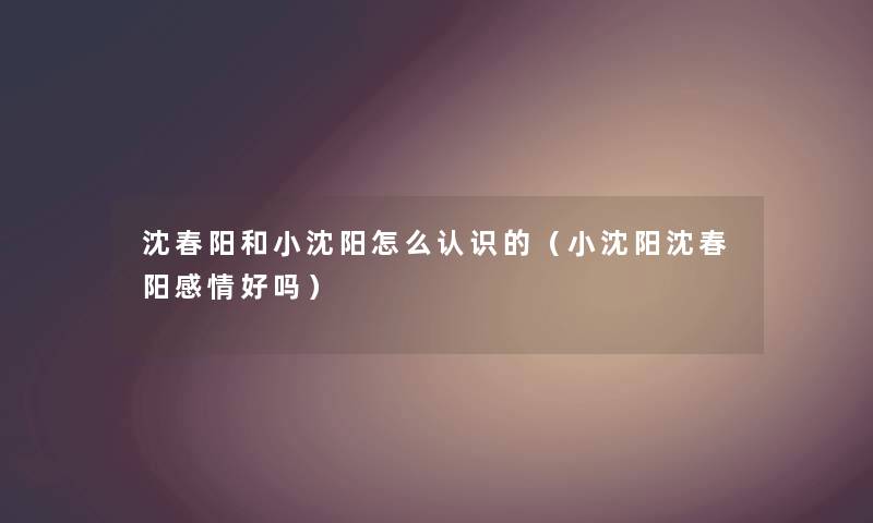 沈春阳和小沈阳怎么认识的（小沈阳沈春阳感情好吗）