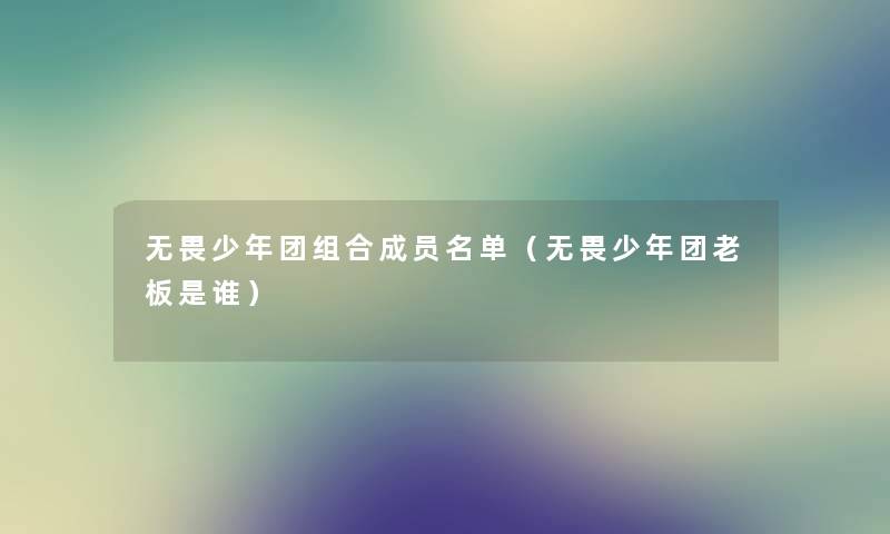 无畏少年团组合成员名单（无畏少年团老板是谁）