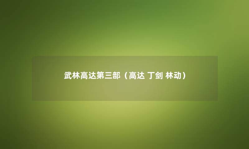 武林高达第三部（高达 丁剑 林动）