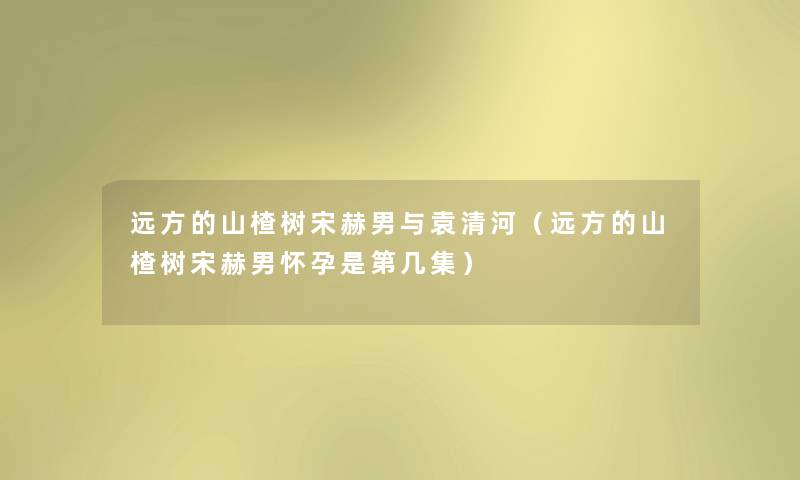 远方的山楂树宋赫男与袁清河（远方的山楂树宋赫男怀孕是第几集）