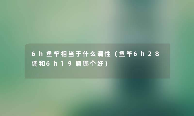 6h鱼竿相当于什么调性（鱼竿6h28调和6h19调哪个好）