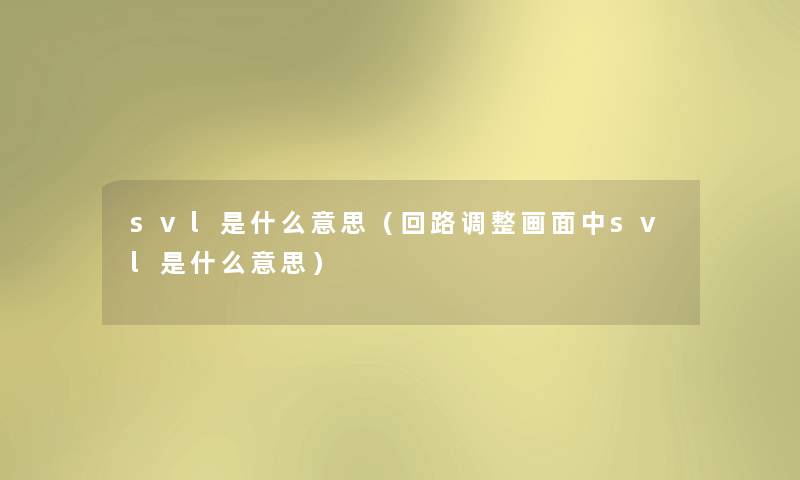svl是什么意思（回路调整画面中svl是什么意思）