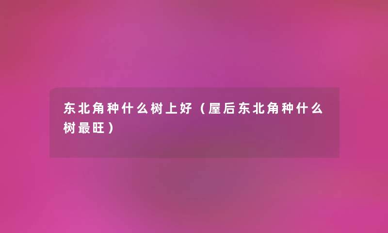 东北角种什么树上好（屋后东北角种什么树旺）