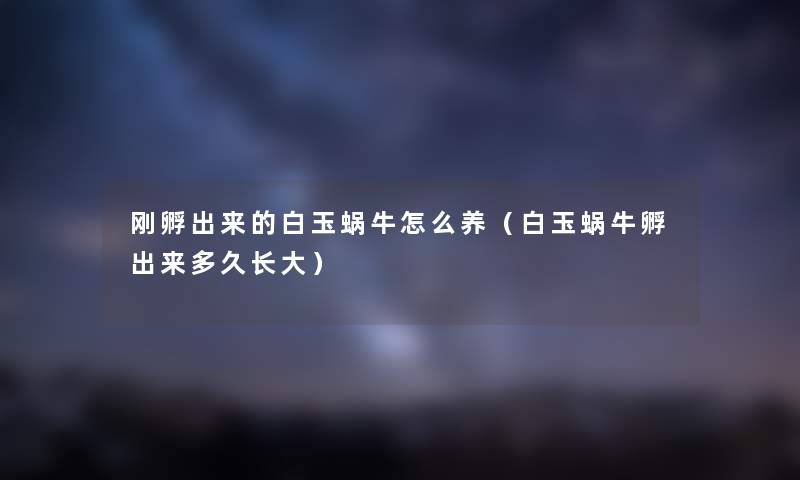 刚孵出来的白玉蜗牛怎么养（白玉蜗牛孵出来多久长大）