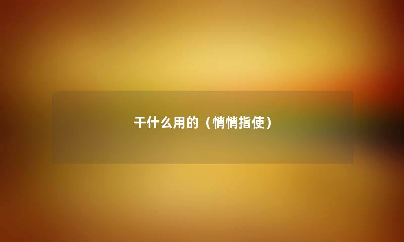 干什么用的（悄悄指使）