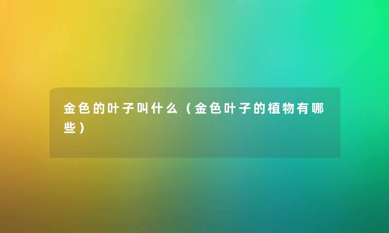 金色的叶子叫什么（金色叶子的植物有哪些）
