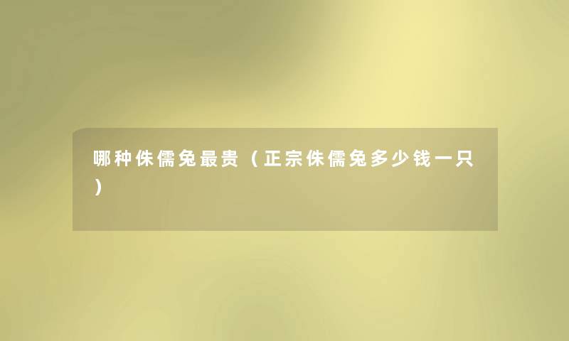 哪种侏儒兔贵（正宗侏儒兔多少钱一只）