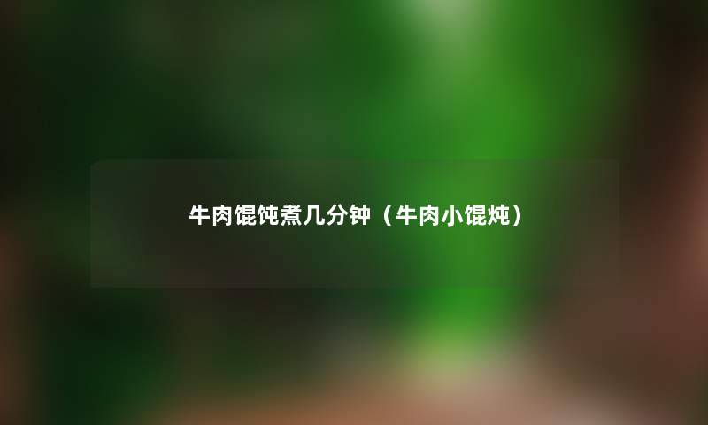 牛肉馄饨煮几分钟（牛肉小馄炖）