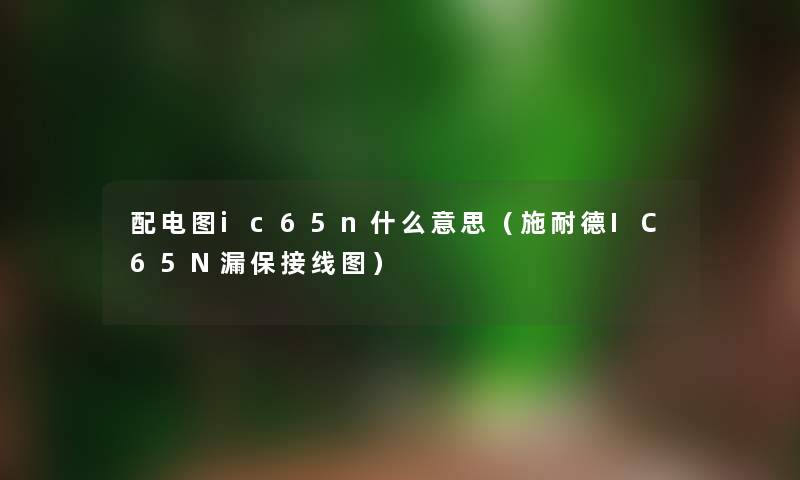 配电图ic65n什么意思（施耐德IC65N漏保接线图）