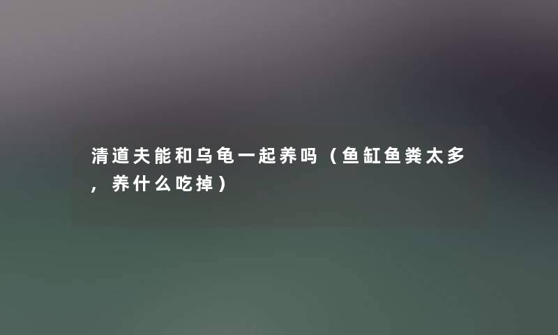 清道夫能和乌龟一起养吗（鱼缸鱼粪太多,养什么吃掉）