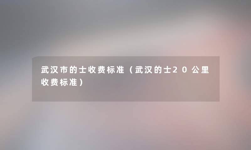 武汉市的士收费标准（武汉的士20公里收费标准）