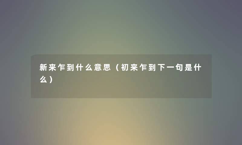 新来乍到什么意思（初来乍到下一句是什么）