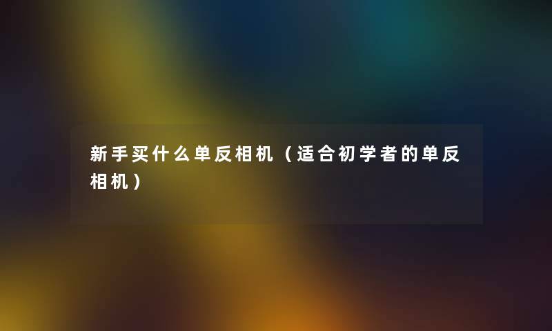 新手买什么单反相机（适合初学者的单反相机）