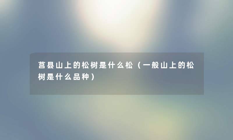 莒县山上的松树是什么松（一般山上的松树是什么品种）
