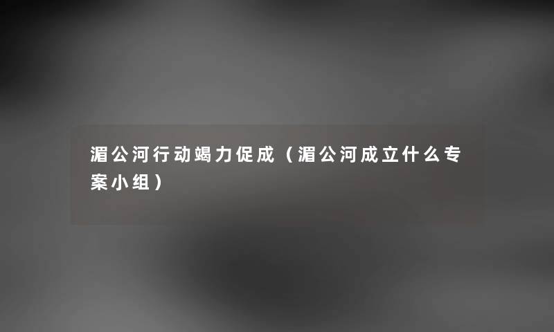湄公河行动竭力促成（湄公河成立什么专案小组）