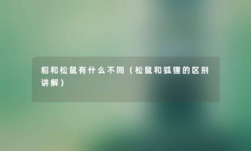 貂和松鼠有什么不同（松鼠和狐狸的区别讲解）