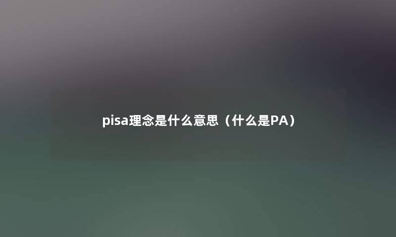 pisa理念是什么意思（什么是PA）