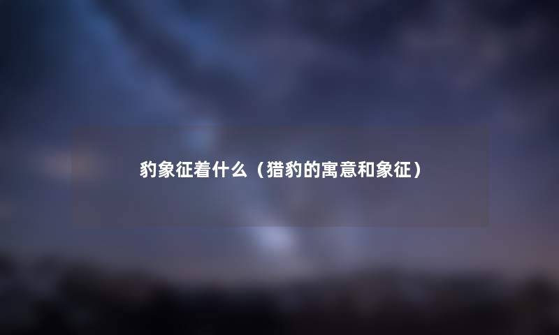 豹象征着什么（猎豹的寓意和象征）
