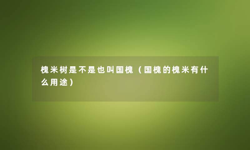 槐米树是不是也叫国槐（国槐的槐米有什么用途）