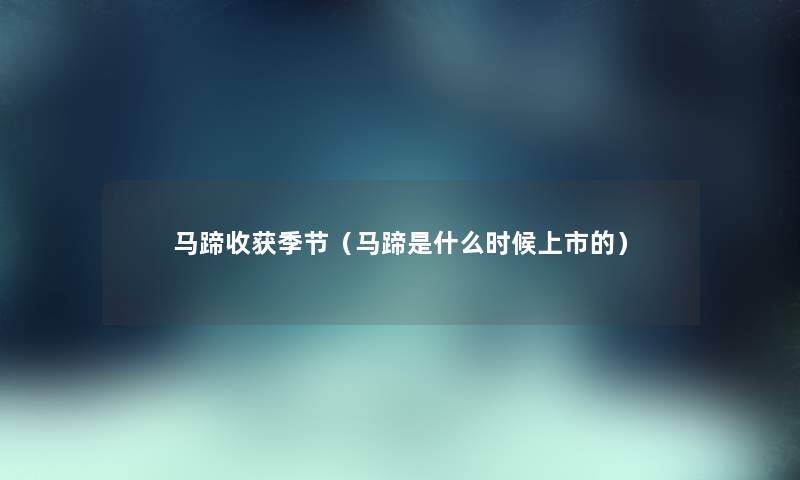马蹄收获季节（马蹄是什么时候上市的）