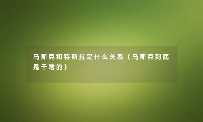 马斯克和特斯拉是什么关系（马斯克到底是干啥的）