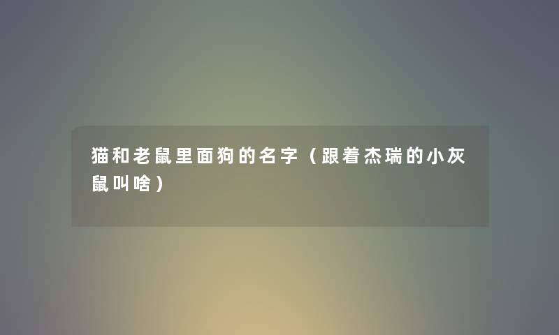 猫和老鼠里面狗的名字（跟着杰瑞的小灰鼠叫啥）
