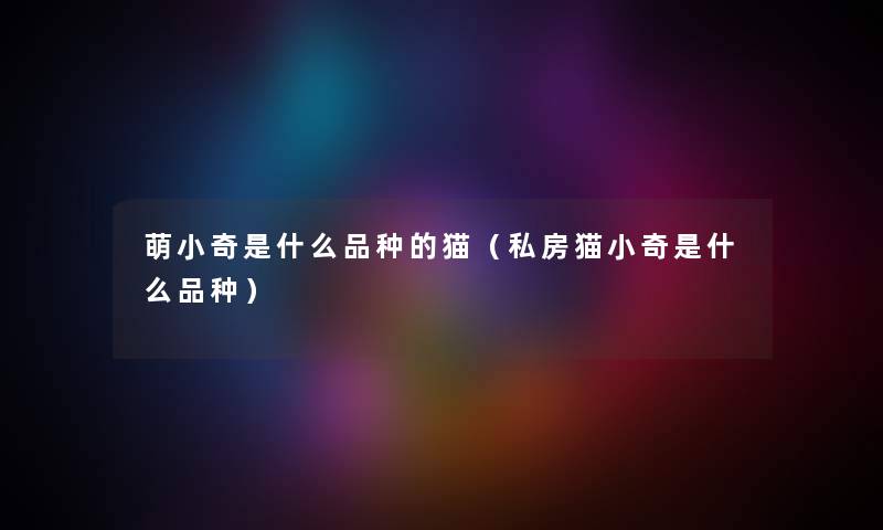 萌小奇是什么品种的猫（私房猫小奇是什么品种）