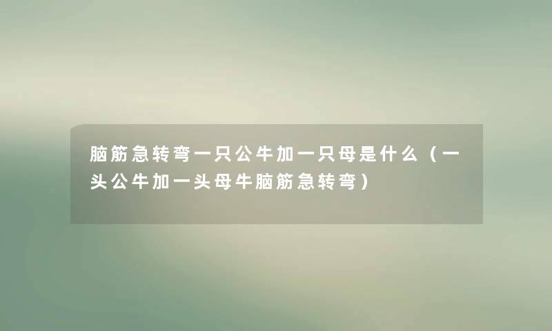 脑筋急转弯一只公牛加一只母是什么（一头公牛加一头母牛脑筋急转弯）