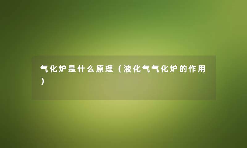 气化炉是什么原理（液化气气化炉的作用）