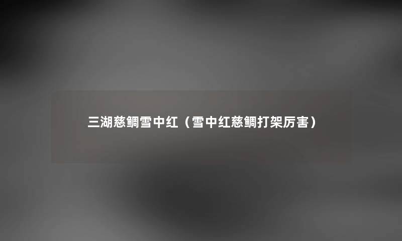 三湖慈鲷雪中红（雪中红慈鲷打架厉害）