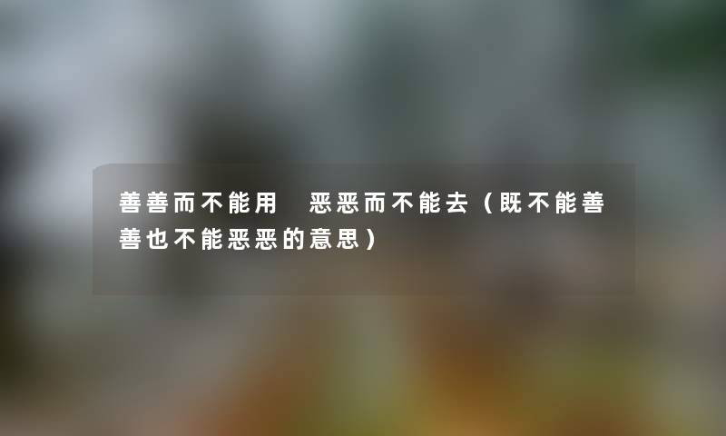 善善而不能用 恶恶而不能去（既不能善善也不能恶恶的意思）