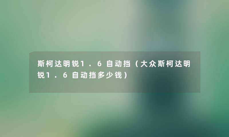 斯柯达明锐1.6自动挡（大众斯柯达明锐1.6自动挡多少钱）