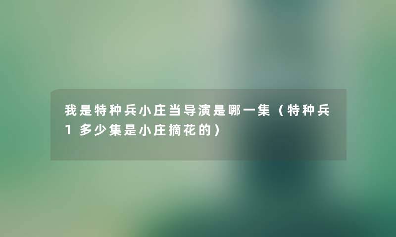 我是特种兵小庄当导演是哪一集（特种兵1多少集是小庄摘花的）