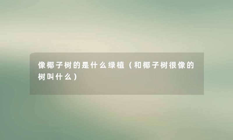 像椰子树的是什么绿植（和椰子树很像的树叫什么）