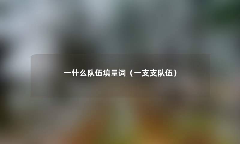 一什么队伍填量词（一支支队伍）