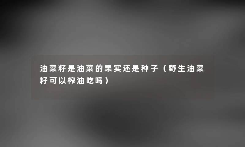 油菜籽是油菜的果实还是种子（野生油菜籽可以榨油吃吗）