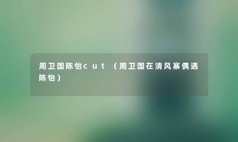 周卫国陈怡cut（周卫国在清风寨偶遇陈怡）