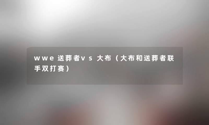 wwe送葬者vs大布（大布和送葬者联手双打赛）