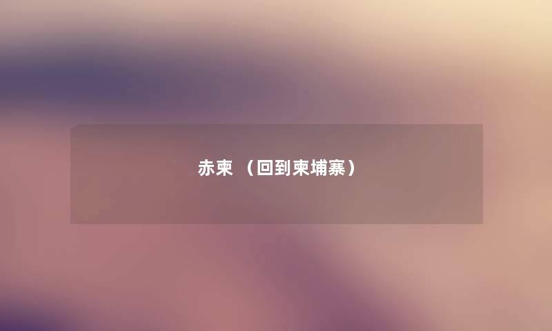 赤柬 （回到柬埔寨）