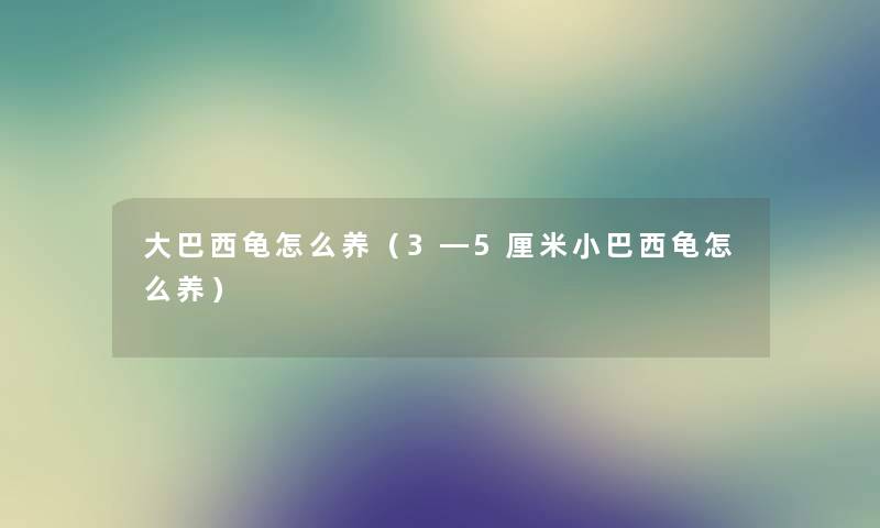大巴西龟怎么养（3―5厘米小巴西龟怎么养）
