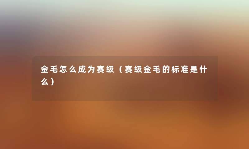 金毛怎么成为赛级（赛级金毛的标准是什么）