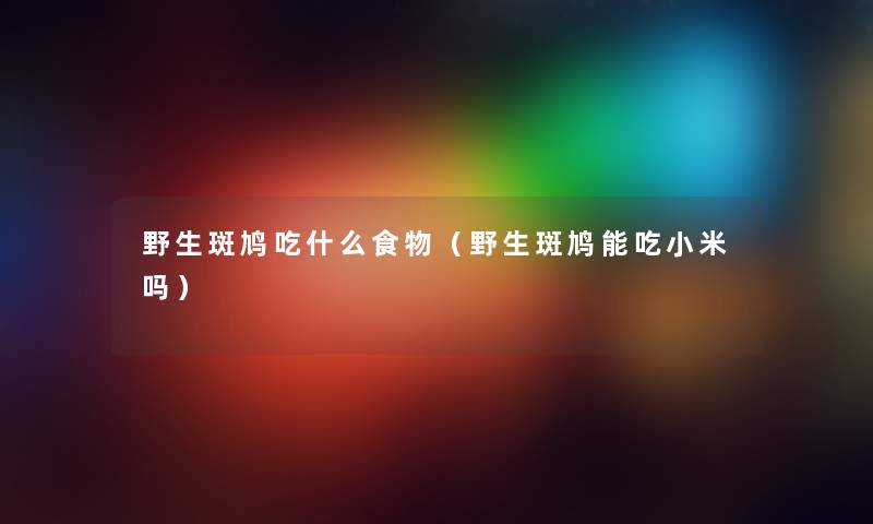 野生斑鸠吃什么食物（野生斑鸠能吃小米吗）